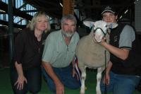 2007 Royal Adelaide Show. Champion ewe (ewe lamb). Wingamin was also Most Successful Exhibitor at Bendigo, Hamilton and Adelaide. (316 entries - 38 exhibitors at the 2007 Royal Adelaide Show)