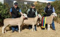 Elders Supreme Prime Lamb Group, Australian Sheep and Wool Show 2006