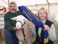 Wingamin 053226 Class Winner at all Shows in 2006 and Champion ram at the Australian Sheep and Wool Show