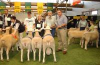 1st Breeders Group 2006 Royal Adelaide feature Show