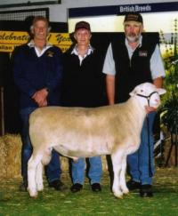 Wingamin 053099 with new owners Wheetelande Stud at the 2006 Royal Adelaide Elite Sale