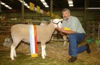 Champion White Suffolk and Supreme Shortwool ewe Hamilton Sheepvention 2004. Wingamin also won Supreme Shortwool Group