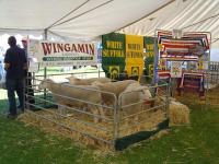 Best Terminal Display at the Karoonda Farm Fair in 2004