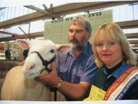 Champion ewe at the 2003 Royal Adelaide Show. Wingamin was also Most Successful Exhibitor. Total of 16 ribbons won.