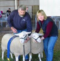 Champion and Reserve Champion ewes at Gawler 2002.