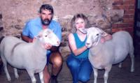 Reserve Champion ram and Champion ram "Dapper" from the 1999 Dookie National Field Day Show