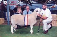 Wingamin 060887 Champion ram 1997 Royal Adelaide Show