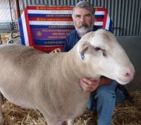 Wingamin 081328 1st May class 2009 Royal Adelaide Show and retained in our stud.