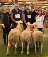 Supreme All Breeds Group 2010 Royal Adelaide Show. Wingamin was also Most Successful Exhibitor for the 4th year in a row (376 Entries - 30 exhibitors)