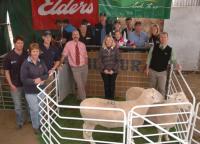 2011 South Australian Foundation Breeders Sale. Top price sale rams at $11,600 & $10,500. First in the pair class at the Royal Adelaide Show.