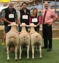 Wingamin Supreme All Breeds Group 2011 Royal Adelaide Show. Wingamin was also Most Successful Exhibitor 5th year in a row. (451 entries - 45 exhibitors)