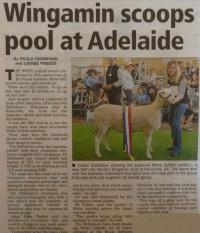 Royal Adelaide Show White Suffolk judging write up Stock Journal