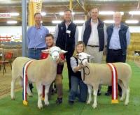 The White Suffolk breed celebrated it's 20th anniversary at the 2011 Royal Adelaide Show with record entries and exhibitors and the winners and judge from the inaugural show in 1991.