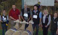 Most Successful Exhibitor Presentation with president Julie Wiesner at the 2011 Royal Adelaide Show