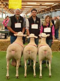 Wingamin 101961 member of our Supreme All Breeds Group 2011 Royal Adelaide Show