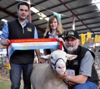 Wingamin 101961 Grand Champion ram Hamilton Sheepvention in 2011