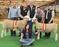 Supreme Prime Lamb & Maternal Breeds Ram and Ewe of the 2012 Royal Adelaide Show