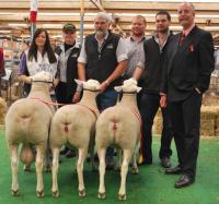 Supreme All Breeds Group 2012 Royal Adelaide Show