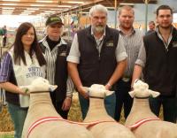 Wingamin Most Successful Exhibitor at Bendigo, Hamilton and The Royal Adelaide Show. (26 exhibitors - 340 entries at the 2012 Royal Adelaide Show)