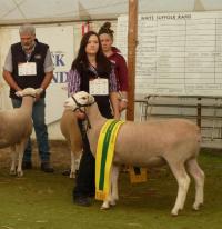 Wingamin 112572 1st July class. Reserve Champion ewe at Bendigo 2012