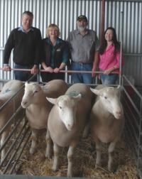 Top price flock rams 3 x $2,000 at our Annual On-Property sale in 2013.