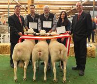 Supreme All Breeds Group 5th year in a row at the 2013 Royal Adelaide Show