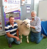 Wingamin 122676 member of our Supreme Pen of 3 rams and Senior Champion ram Hamilton Sheepvention 2013