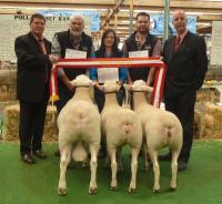 Supreme All Breeds Group 2014 Royal Adelaide Show 6th year in a row