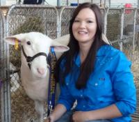 Wingamin 133313 1st August class 2014 Royal Adelaide Show. Triplet sister to stud ram 133315 (Reserve Champion ram at Bendigo 2014)