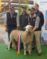 Senior Champion ram presentation with sponsors at the 2015 Royal Adelaide Show