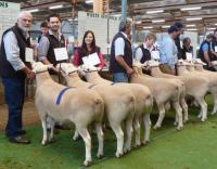 WS judging at the Royal Adelaide Show