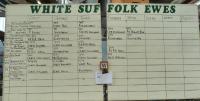 Results board - ewes - 2016 Royal Adelaide Show