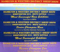 Hamilton Sheepvention show results 2016