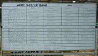 Results board - rams - Bendigo 2016