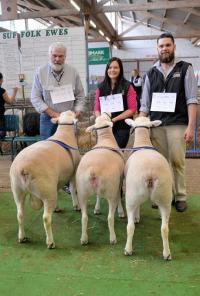 Winning White Suffolk Breeders Group and Champion Interbreed Group 2017 Royal Adelaide Show