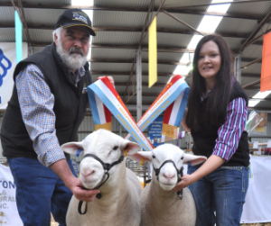 Champion Ram and Ewe and the Interbreed Double!