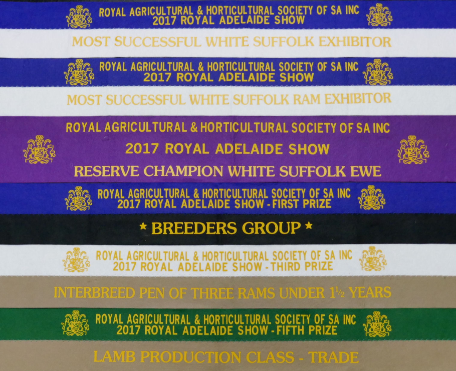 2017 Show Results