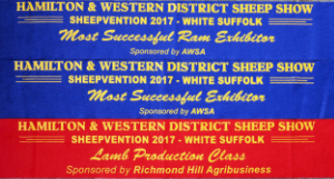 Hamilton Sheepvention 2017 results