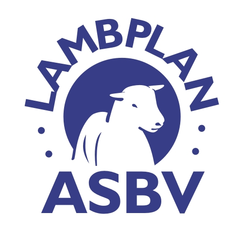 Lambplan ASBV