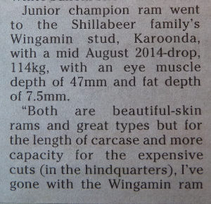 Judges comments (Andrew Michael) on Wingamin 140384 - Hamilton Sheepvention