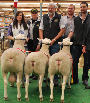 Supreme Breeder's Group Royal Adelaide Show 2012