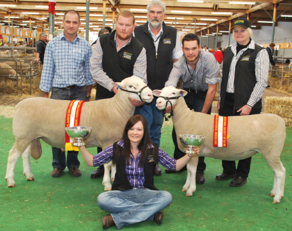 Supreme Double - Ewe and Ram 2012 Royal Adelaide Show