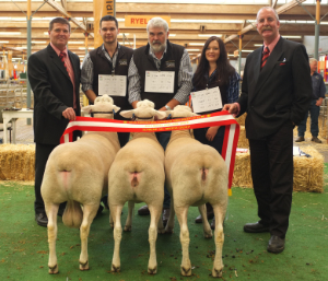 Supreme All Breeds Breeders Group - Royal Adelaide Show 2013