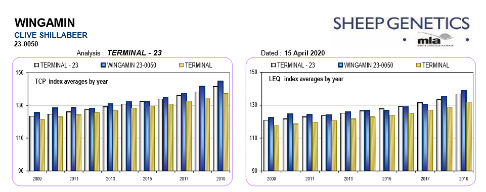 TCP & LEQ april 20 TCP & LEQ april 20