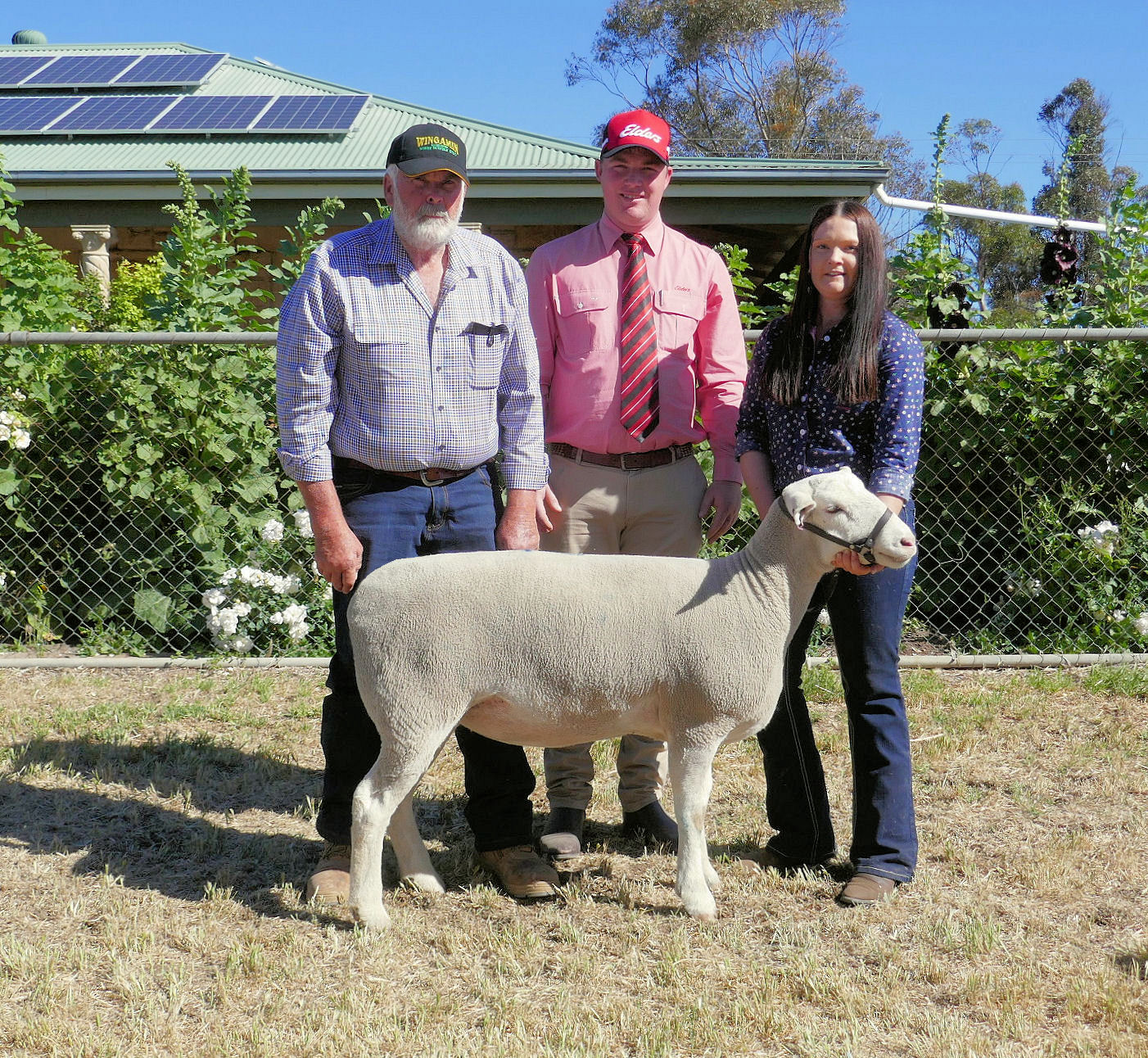 Wingamin 202726 Lot 2 sold to John Dalla for $4,000